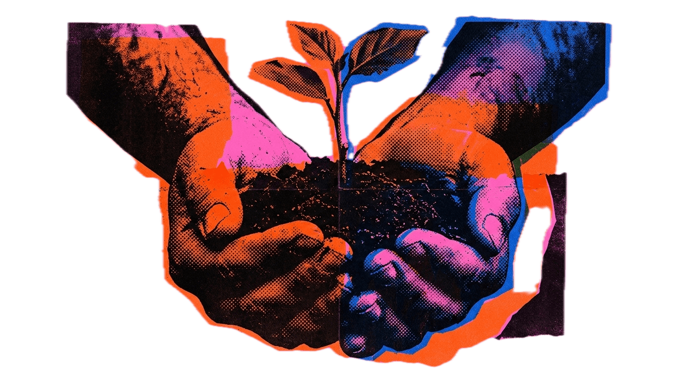 Hands with seedling