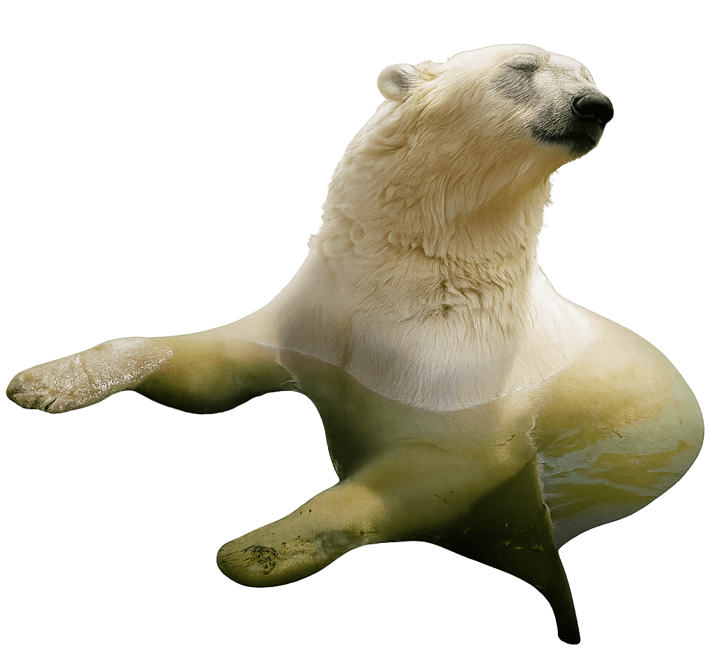 Polar bear
